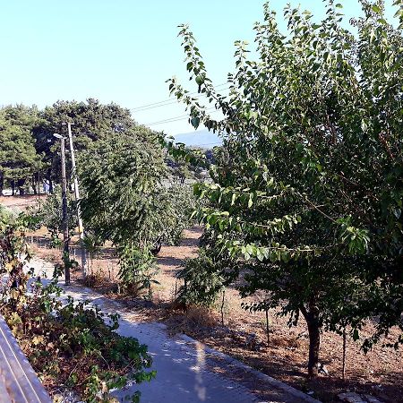 Can Efes Hotel Selçuk Ngoại thất bức ảnh