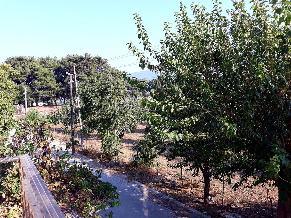 Can Efes Hotel Selçuk Ngoại thất bức ảnh